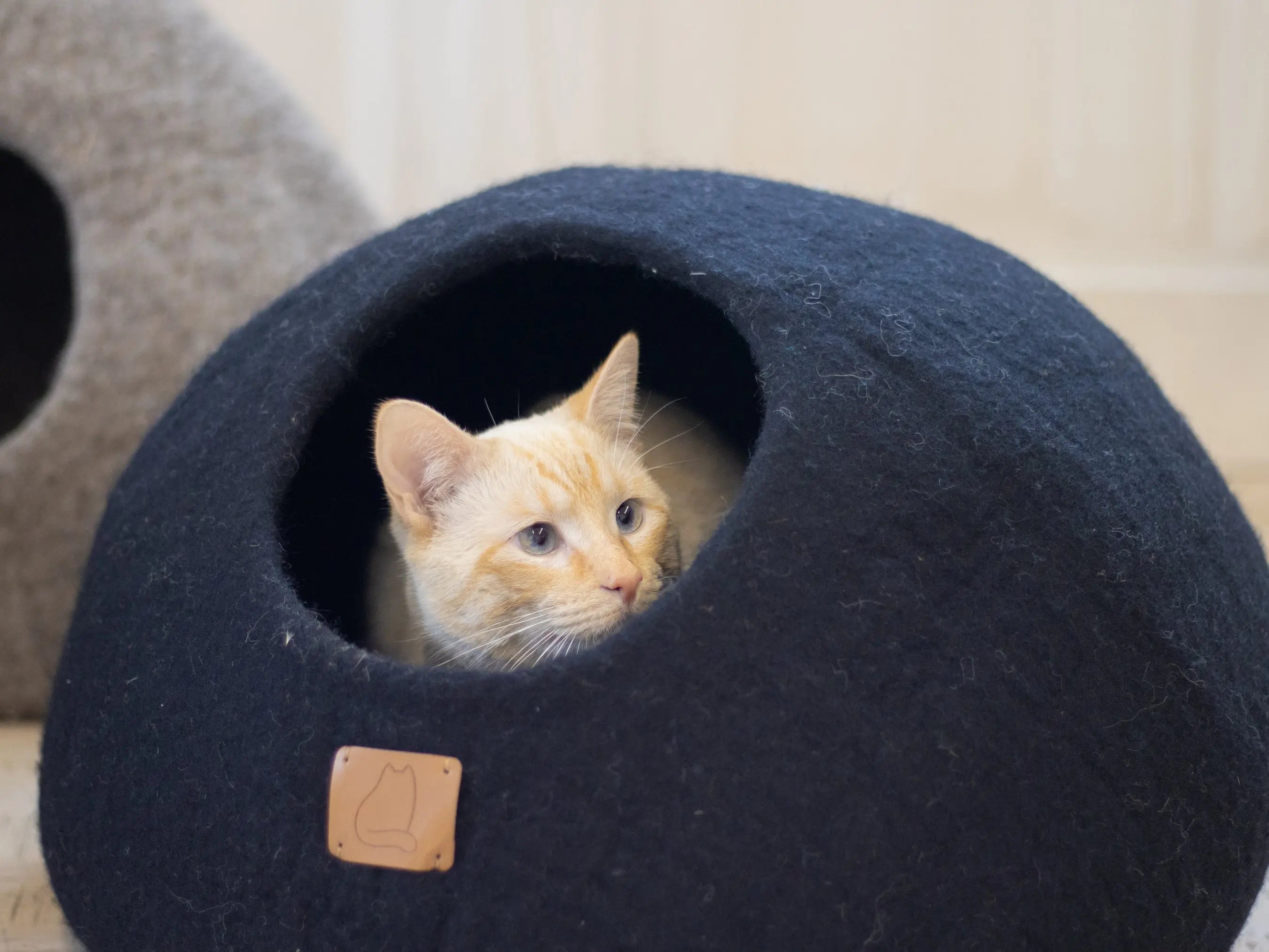 Premium Felted Wool Cat Cave Bed - Cozy Peekaboo Round Cave for Large Beige Tethys