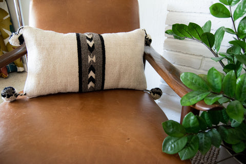 Neza Native Arrows, Black and White Pillow Cover