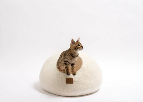 Premium Felted Wool Cat Cave Bed - Cozy Peekaboo Round Cave for Large Beige Tethys