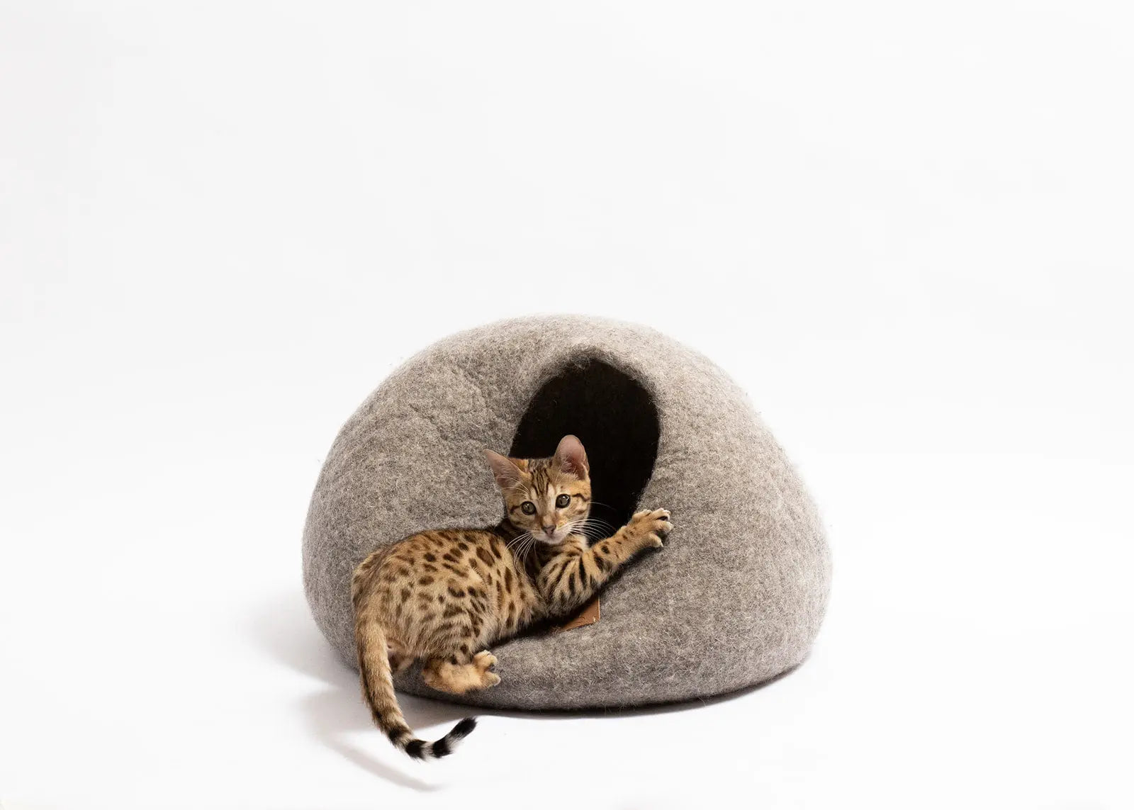 Premium Felted Wool Cat Cave Bed - Cozy Peekaboo Round Cave for Large Beige Tethys