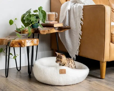 Premium Felted Wool Cat Cave Bed - Cozy Peekaboo Round Cave for Large Beige Tethys