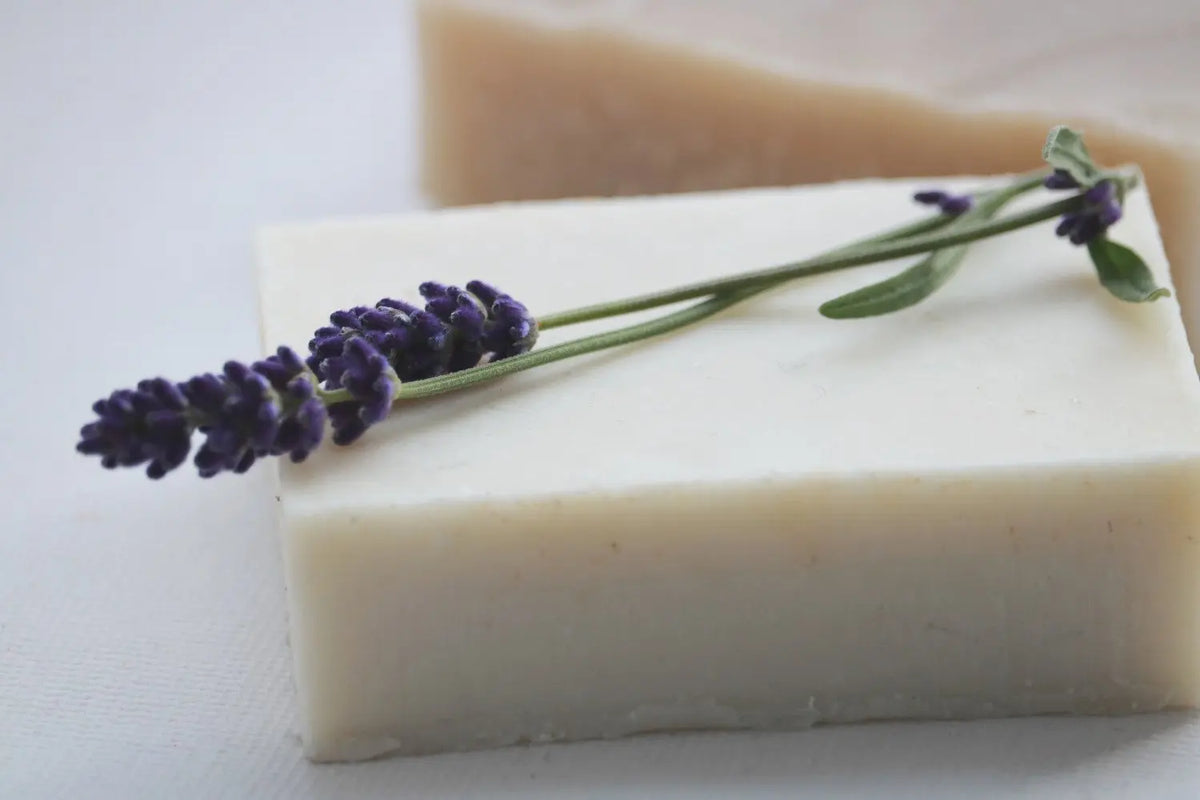 Lavender Chamomile Shampoo Bar - Natural Shampoo Maroon Oliver