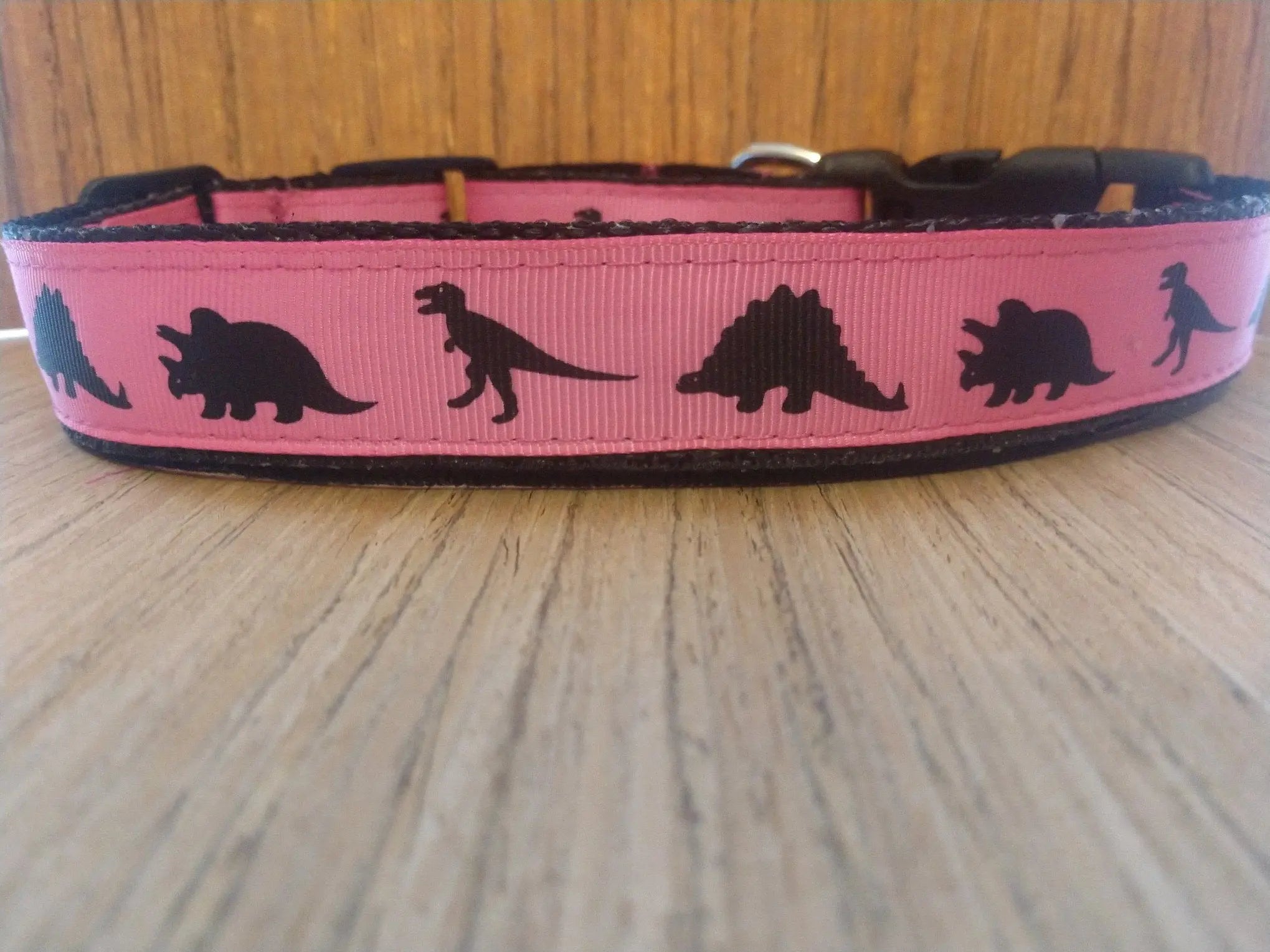 Leash/ Large/  Pink Dinosaur Green Thalassa