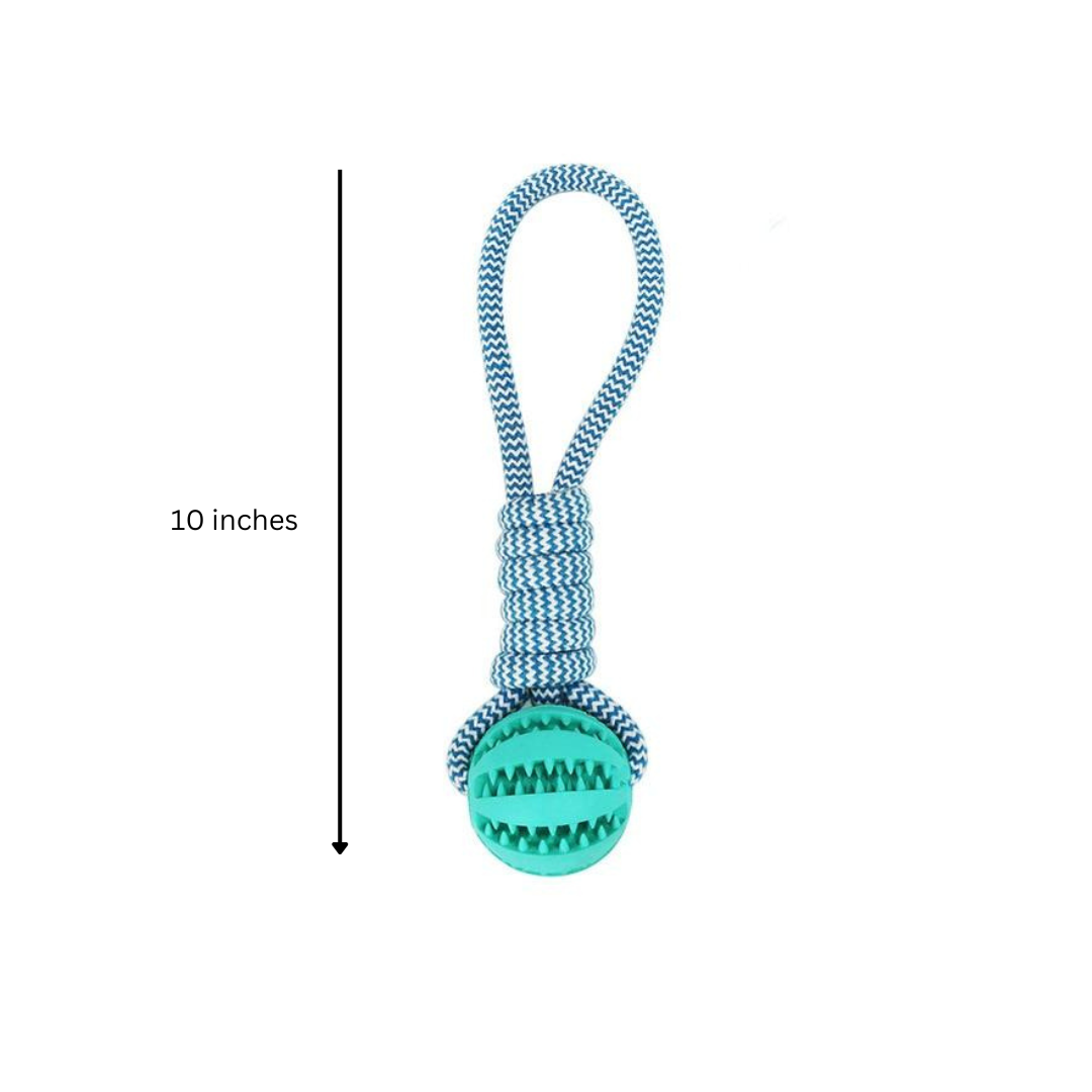 Fast Shipping 3 Pack Squeaky Toothbrush & Cotton Rope Ball Dog Toys