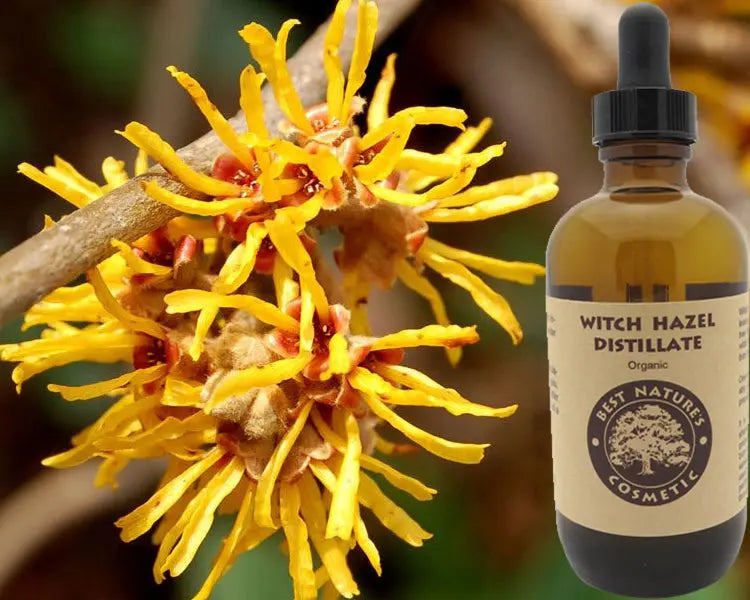 Witch Hazel Distillate Organic Yellow Poppy