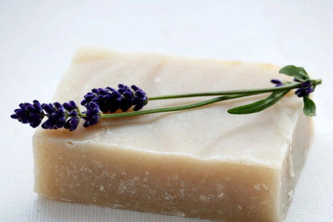 Lavender Rosemary Shampoo Bar  - Eco Friendly Maroon Oliver