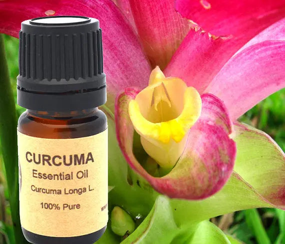 Turmeric Curcuma Essential Oil 10ml or 15 ml Yellow Poppy