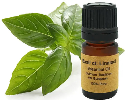 Basil CT. Linalool 10 ml or 15 ml. Yellow Poppy