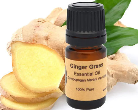 Ginger Essential Oil 15 ml Yellow Poppy