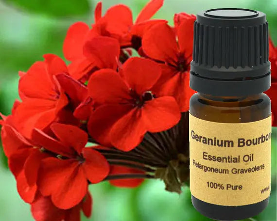 Geranium Bourbon Essential 15ml Yellow Poppy