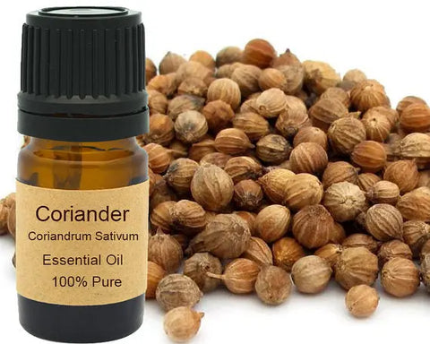 Coriander Essential Oil 15ml Yellow Poppy